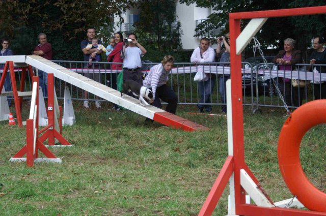 foire-haricots 2011-09-17et18